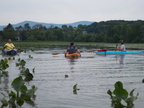 IMG 4096